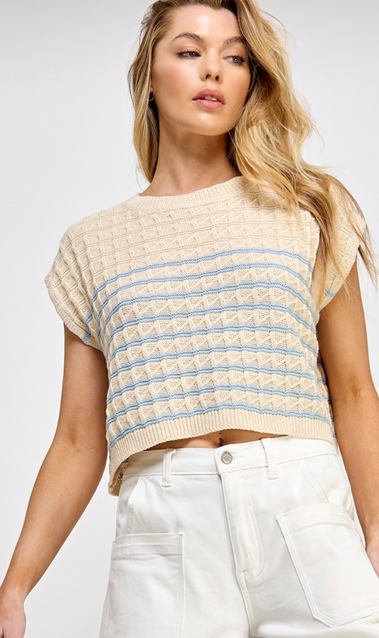 Ivy Stripe Sweater Top