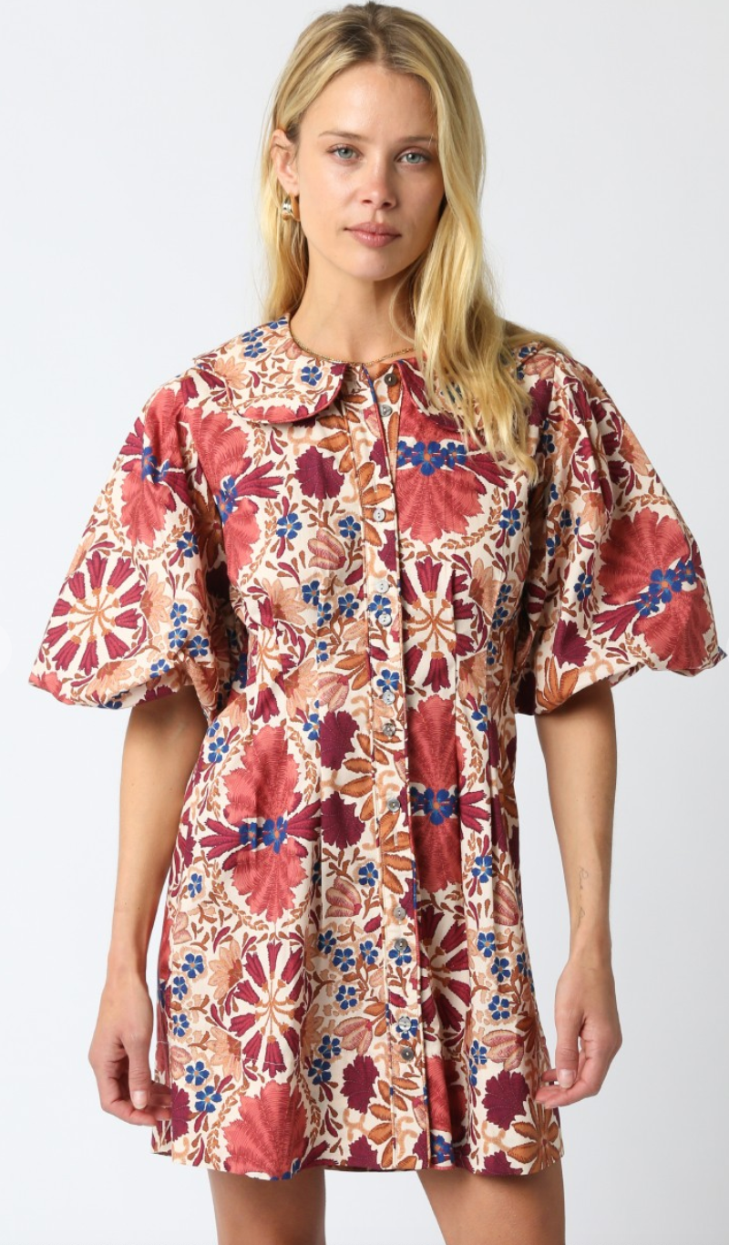 Iris Collared Poplin Dress