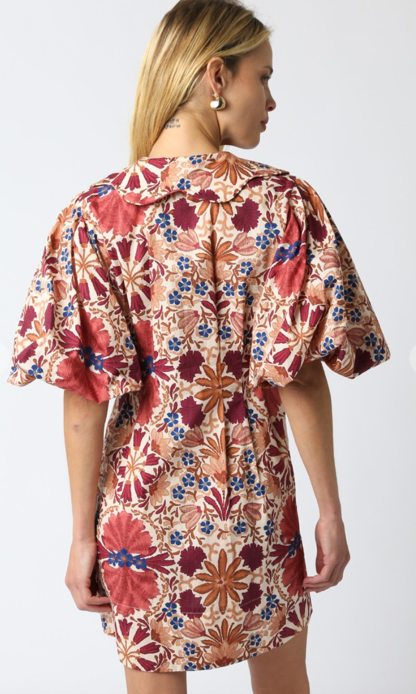 Iris Collared Poplin Dress