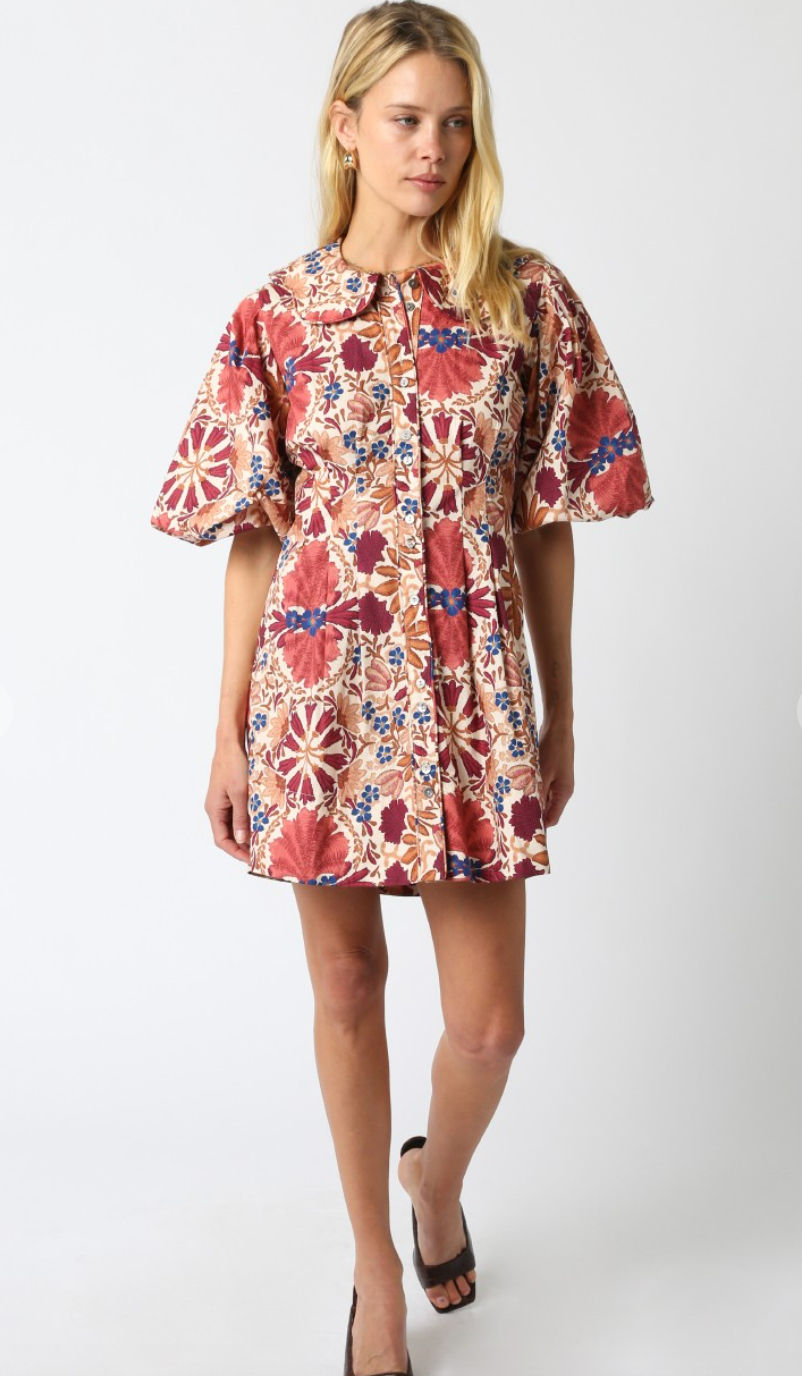 Iris Collared Poplin Dress