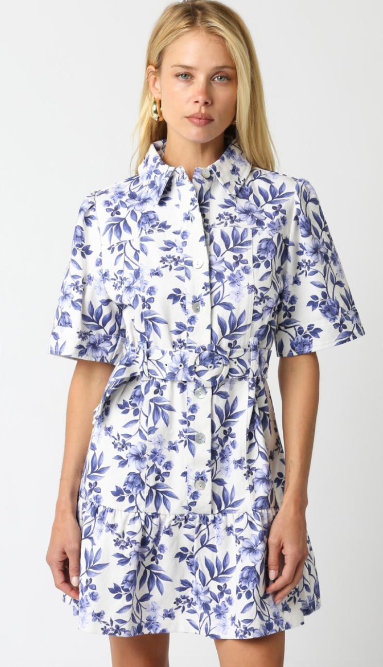 Emmie Blue Floral Collared Tie Dress