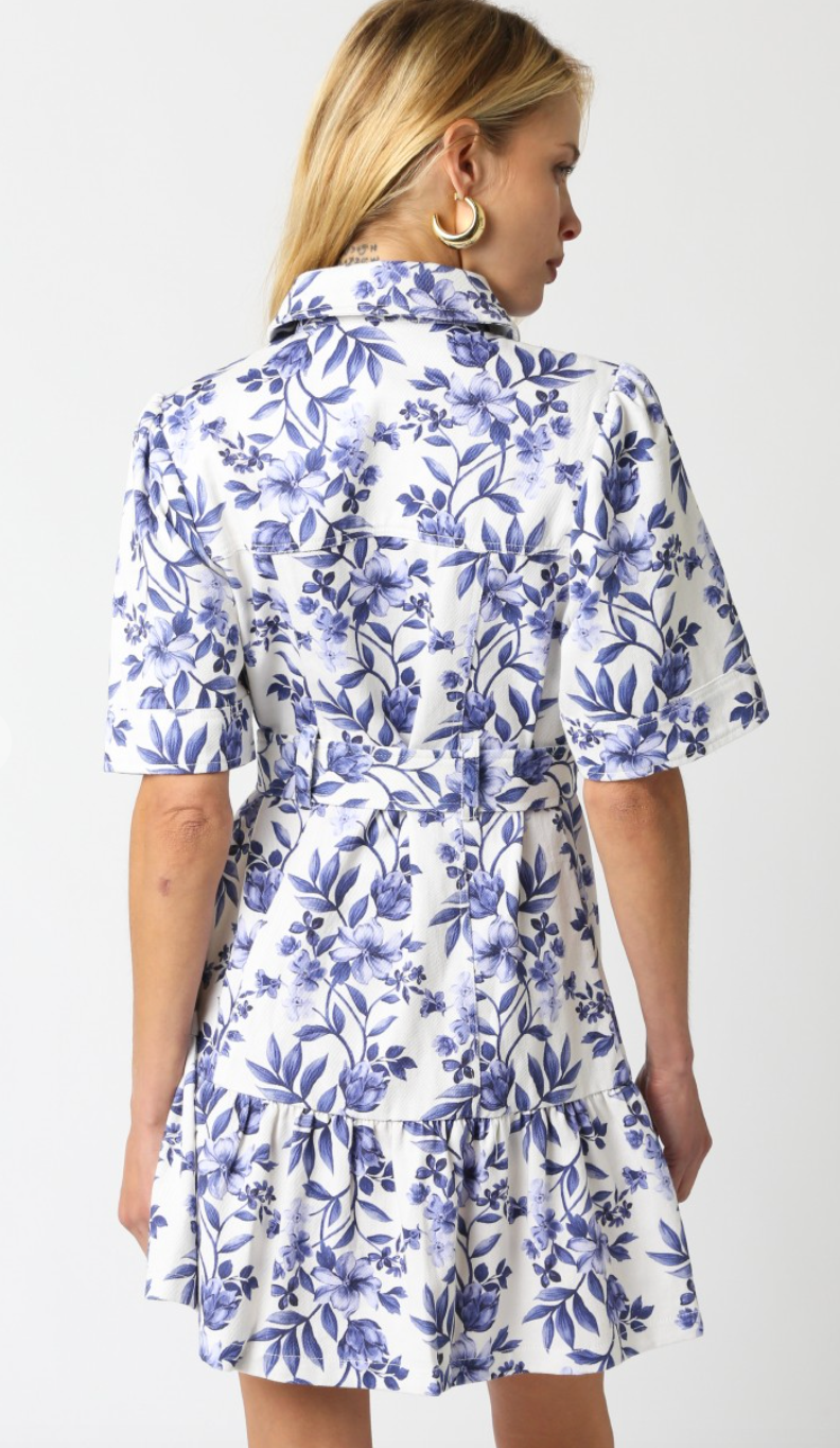 Emmie Blue Floral Collared Tie Dress
