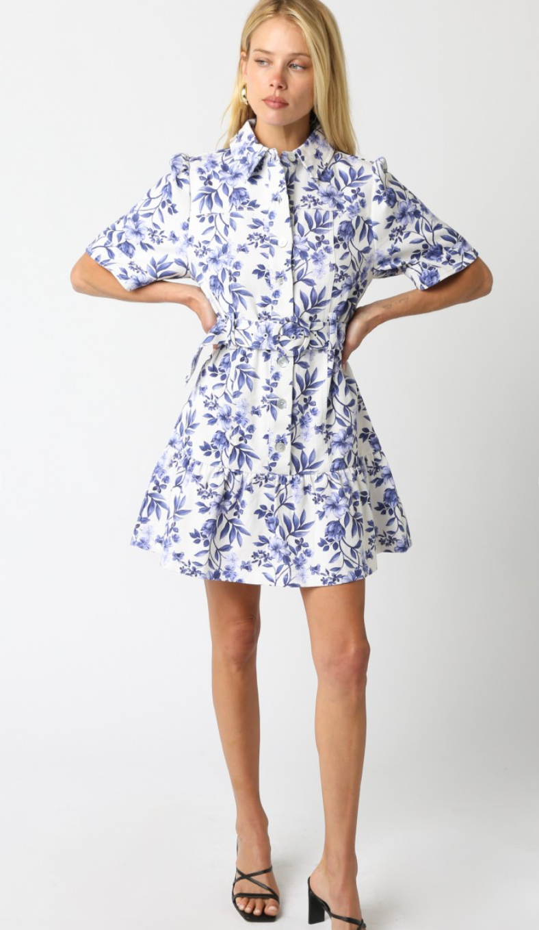 Emmie Blue Floral Collared Tie Dress