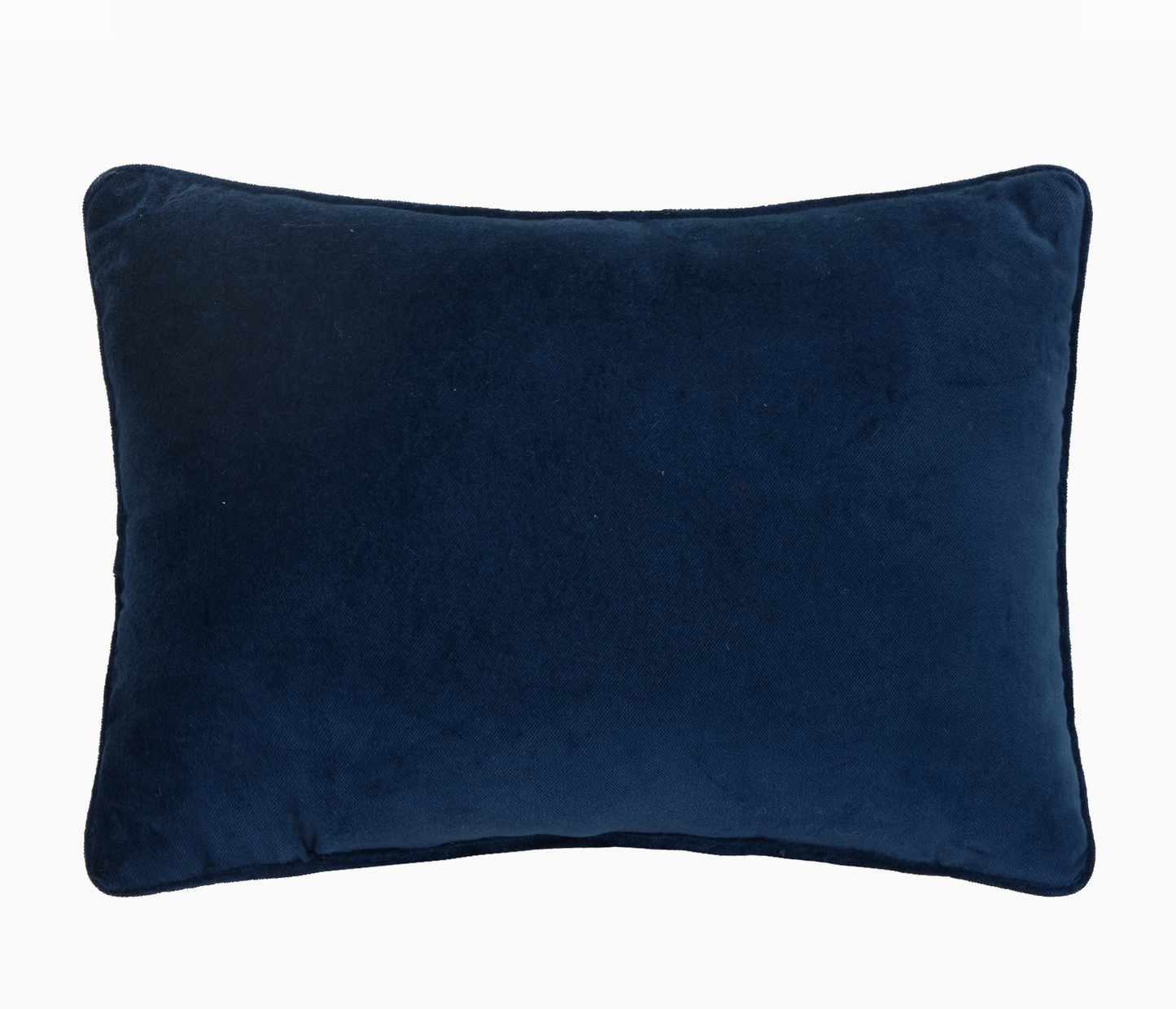 Sassy & Classy Needlepoint Pillow