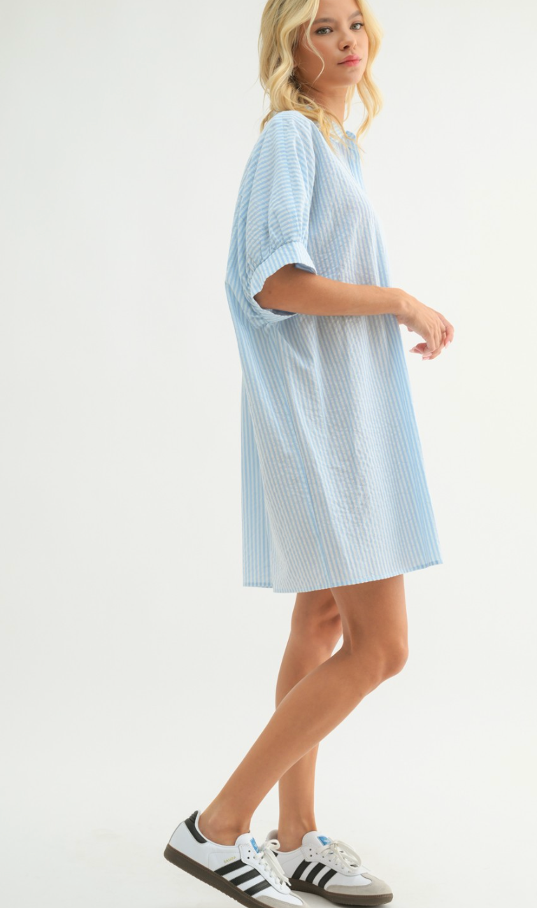 Striped Button Shirt Dress Blue