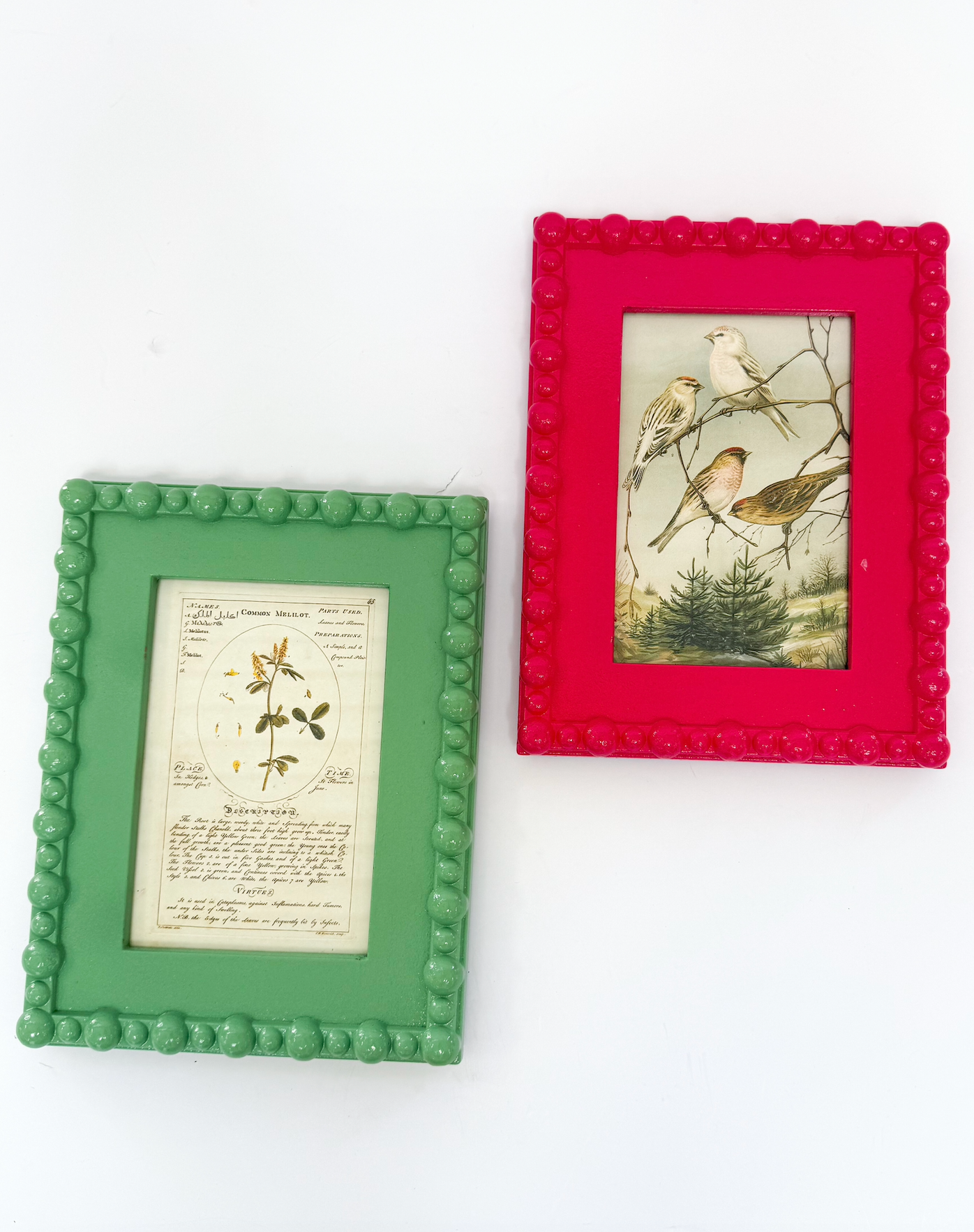 Red Border Picture Frame