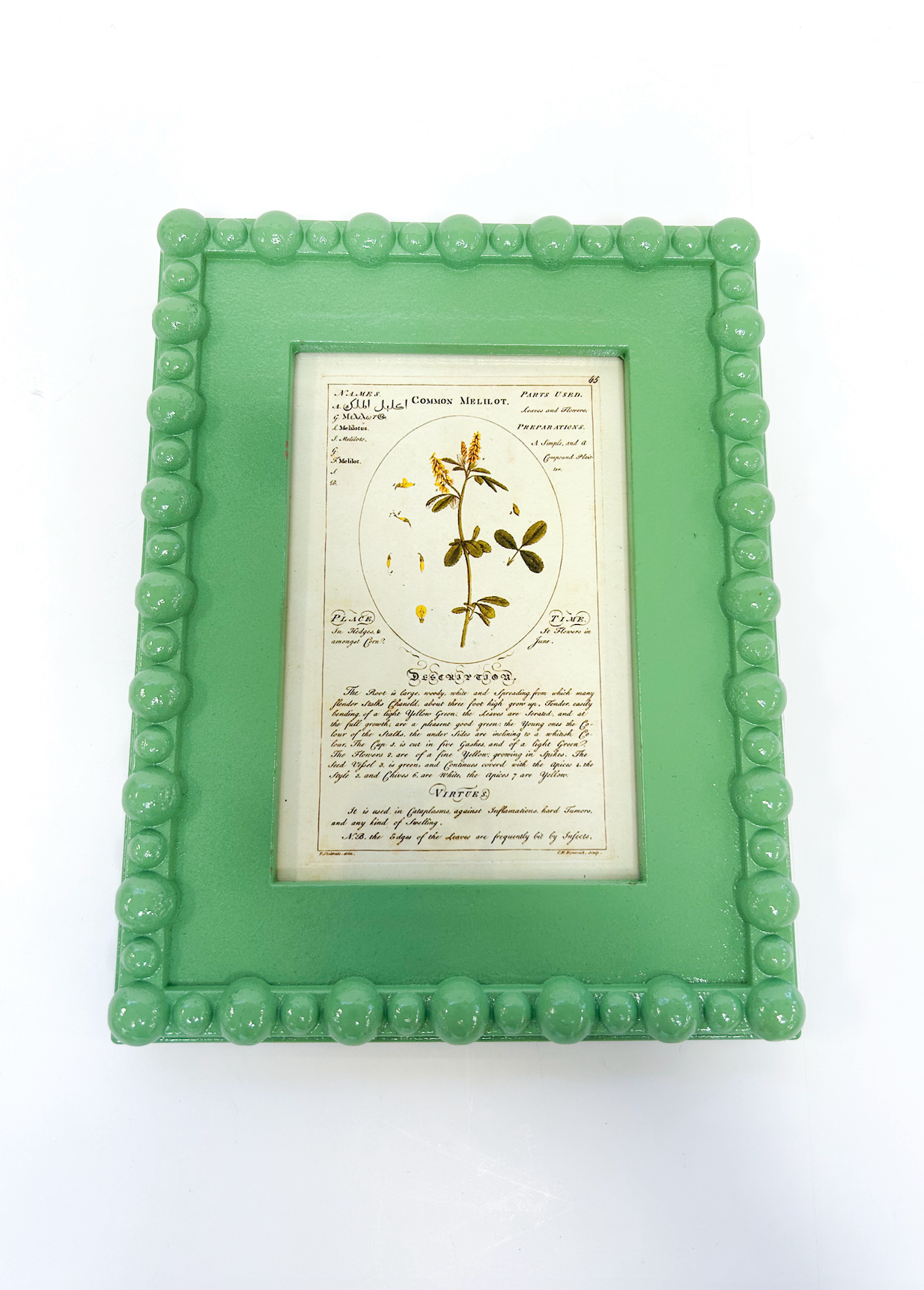 Green Border Picture Frame