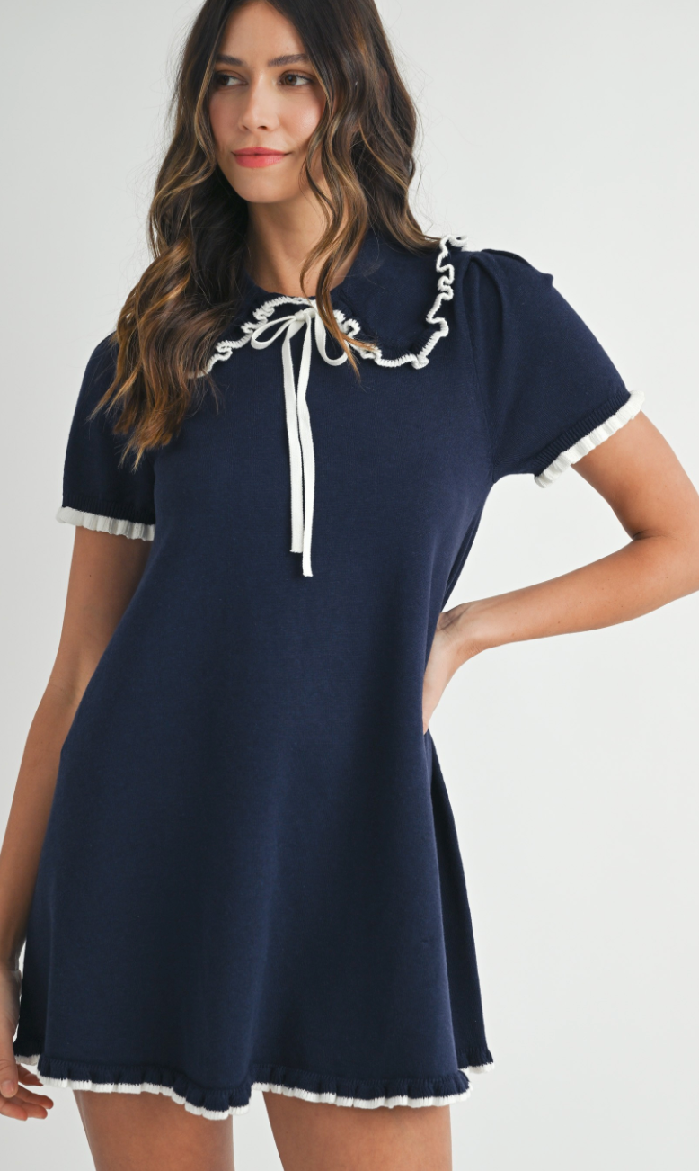 Madeline Navy Collar Knit Dress