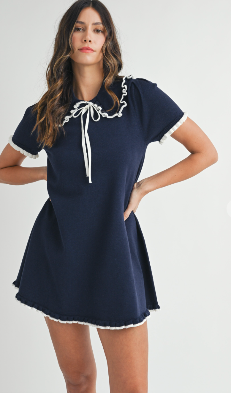 Madeline Navy Collar Knit Dress