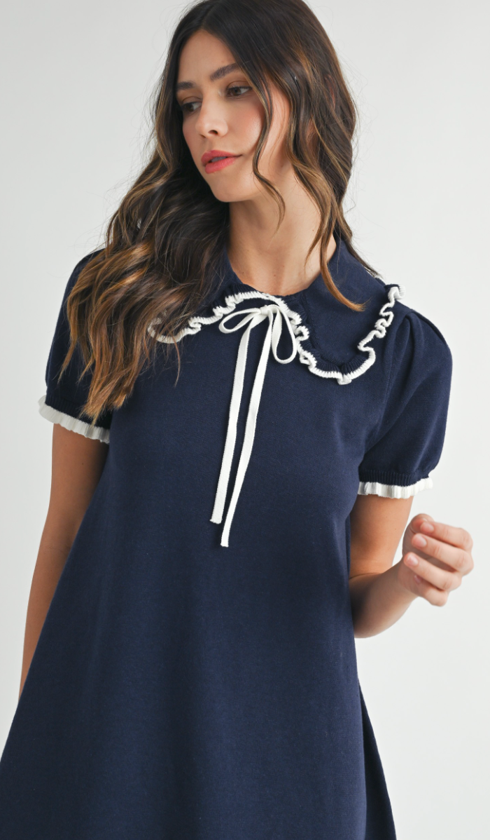 Madeline Navy Collar Knit Dress