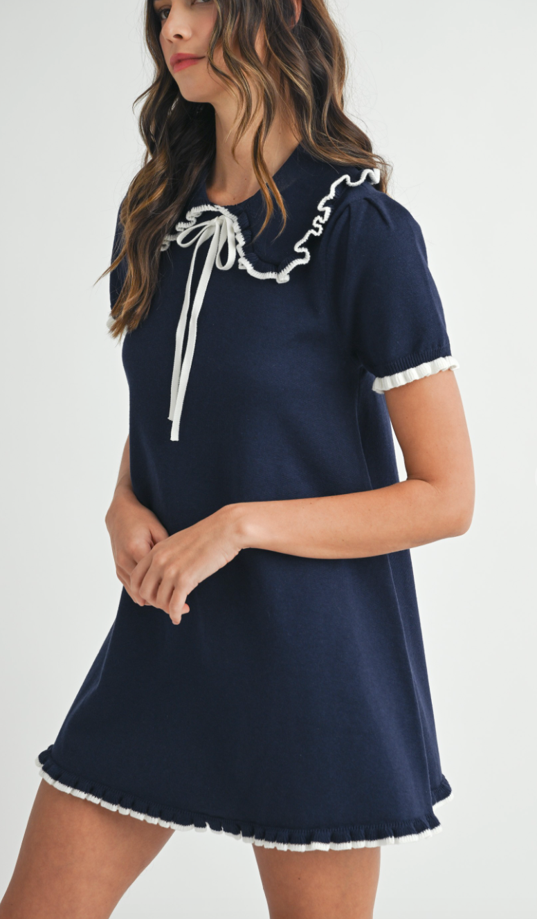 Madeline Navy Collar Knit Dress