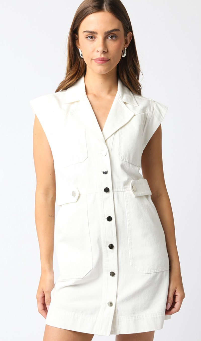 Louise Button Down Dress