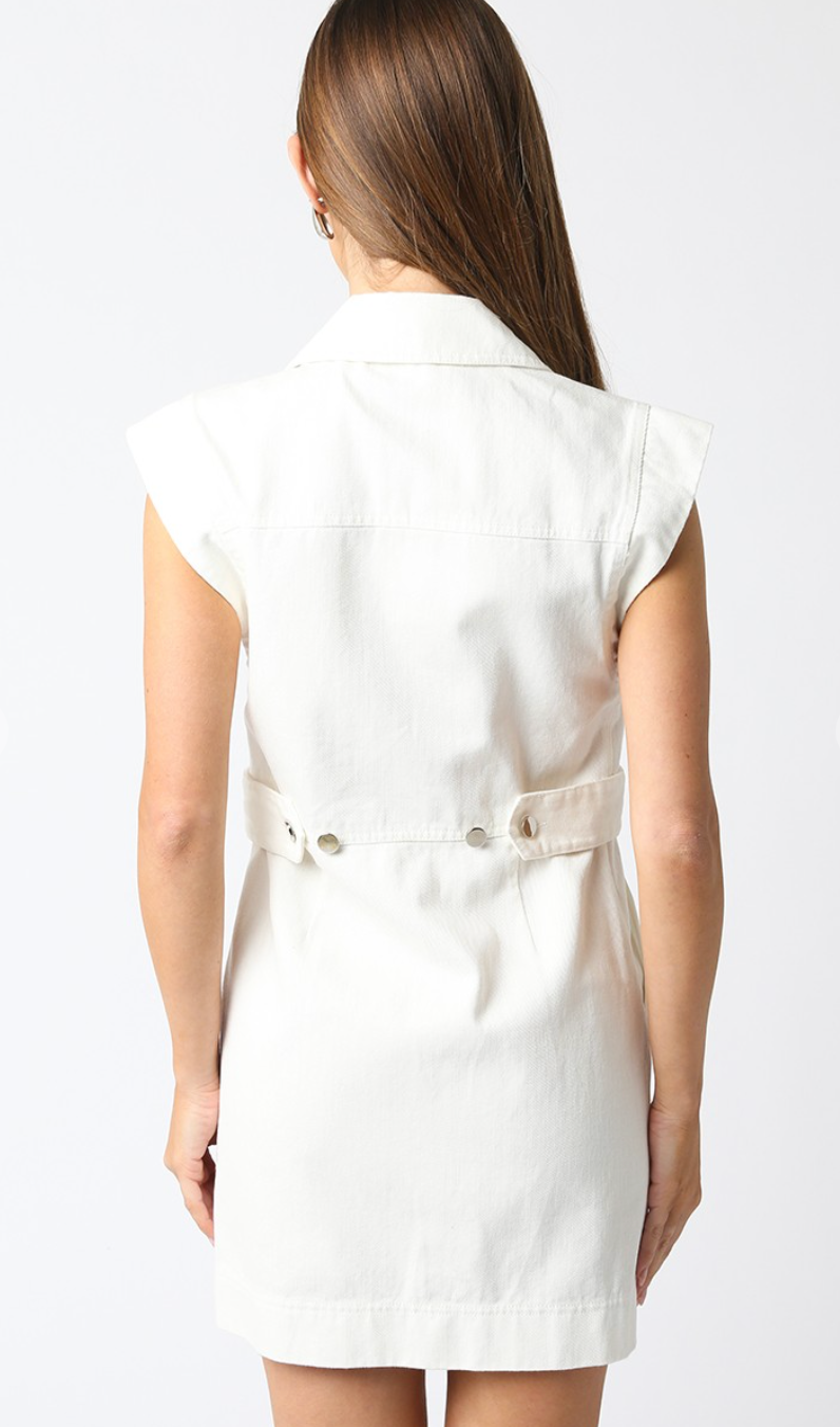 Louise Button Down Dress