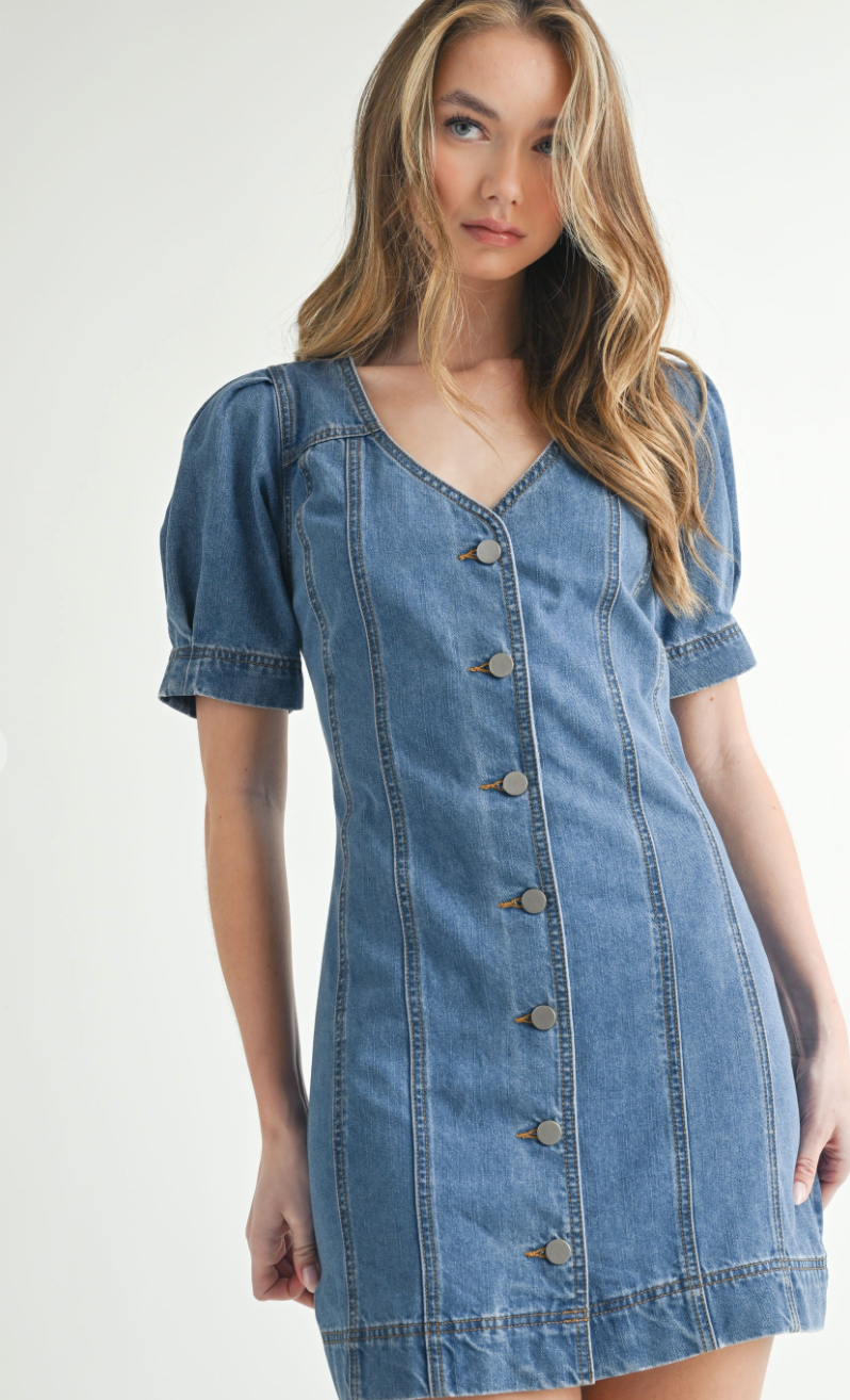 Denim Button Down Dress