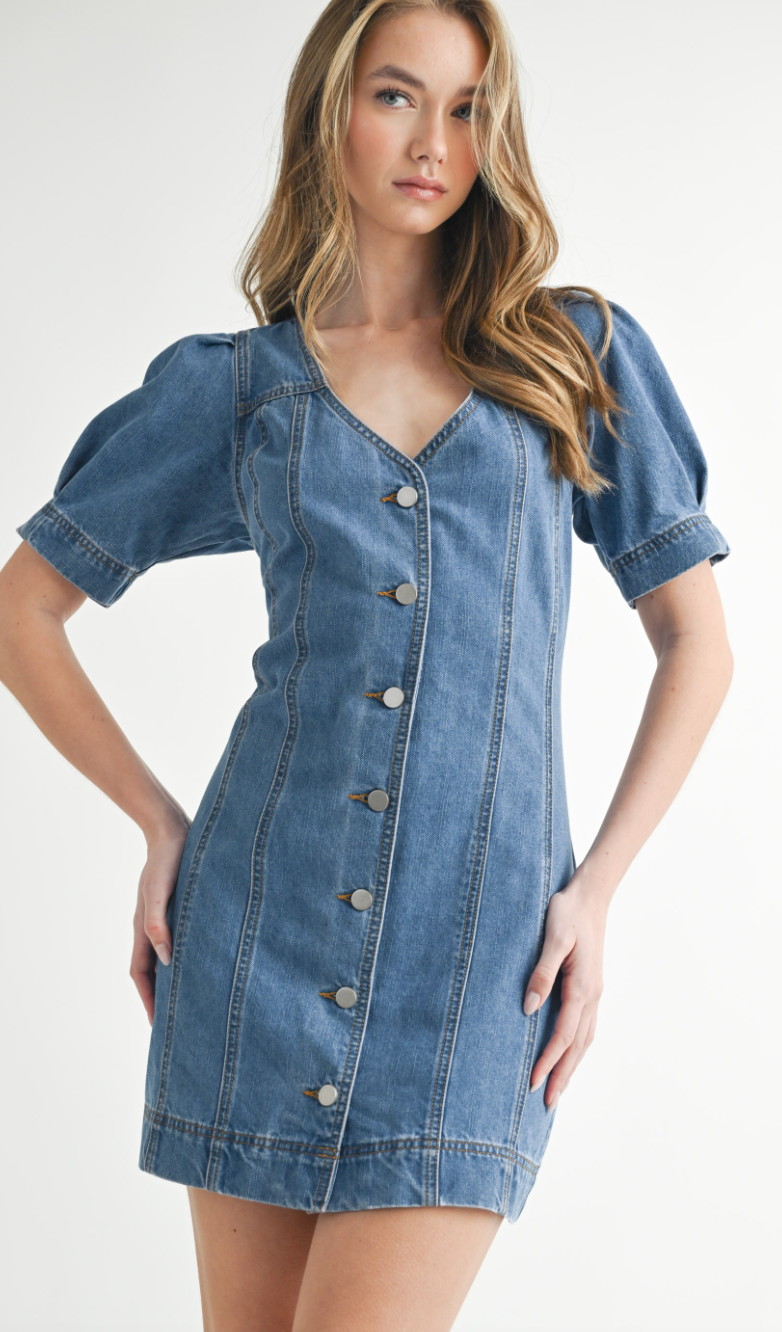 Denim Button Down Dress