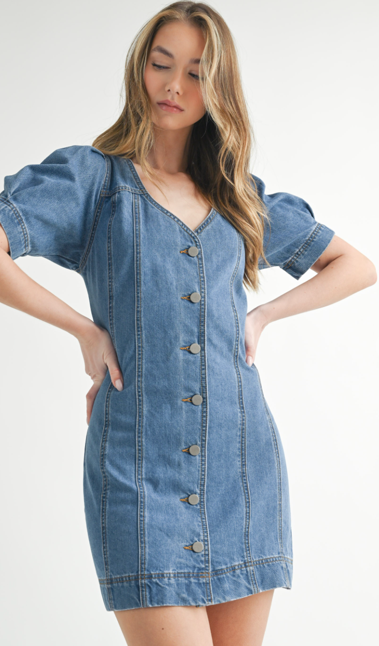 Denim Button Down Dress