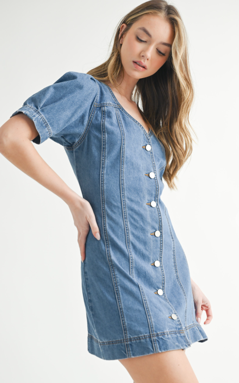 Denim Button Down Dress