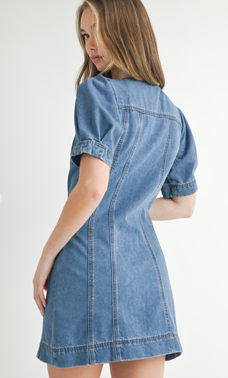 Denim Button Down Dress