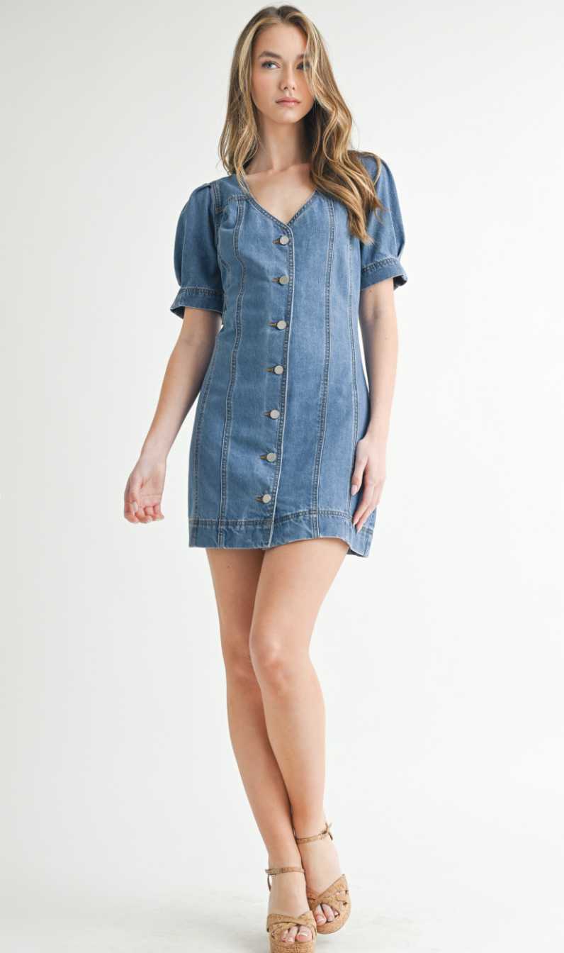 Denim Button Down Dress