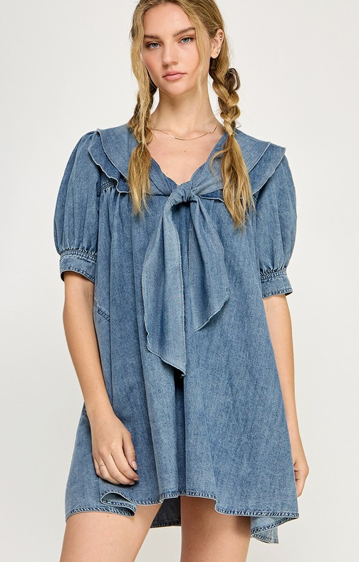 Penny Ribbon Denim Dress