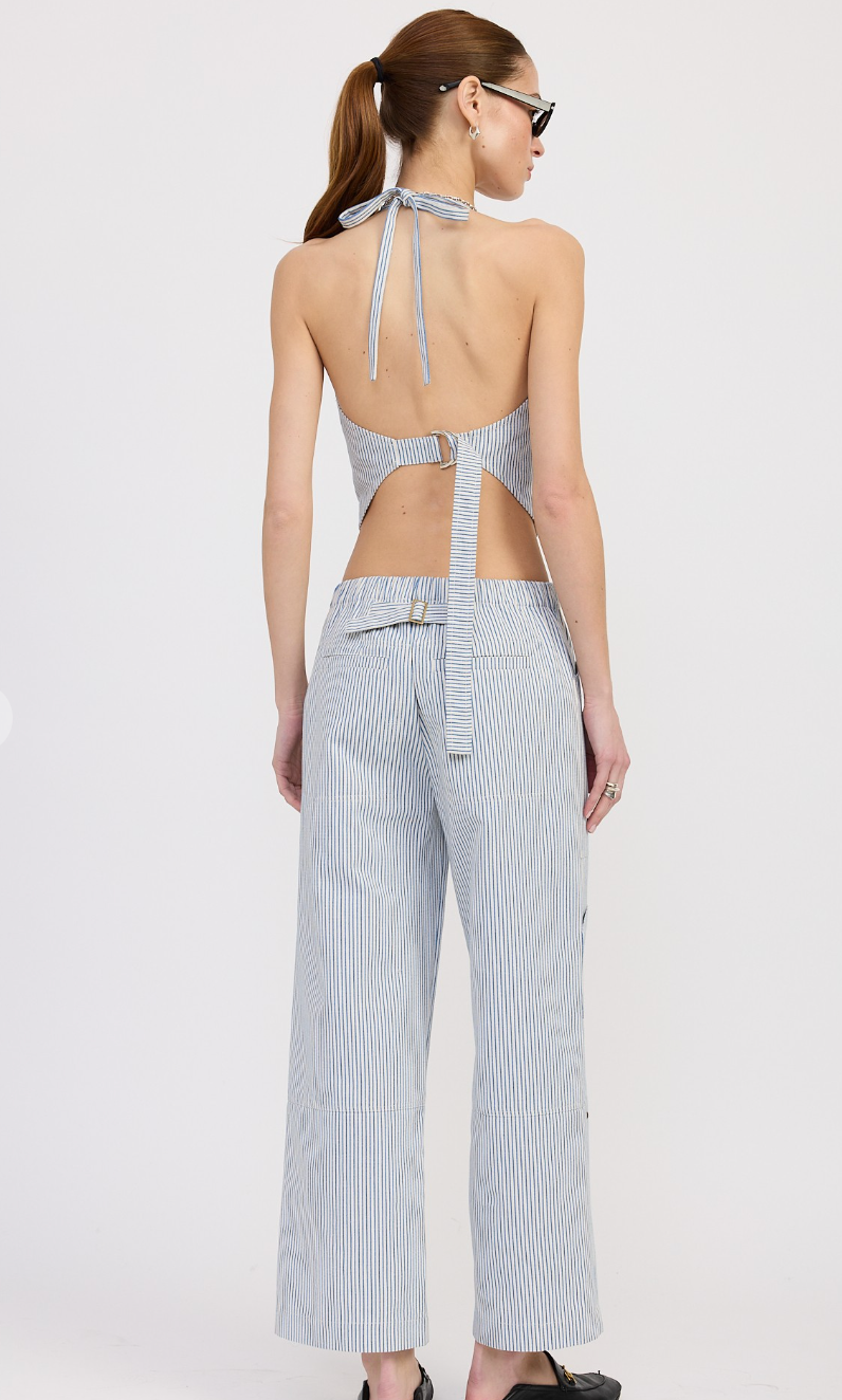 Blue Stripe Cotton Twill Pants
