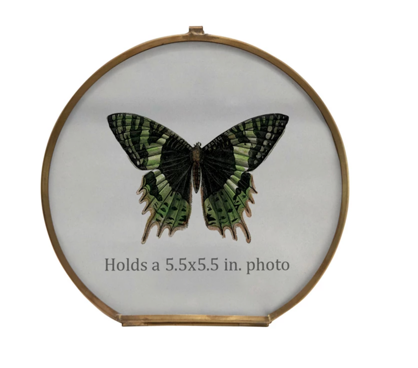 Brass Gold Circle Frame 5.75''