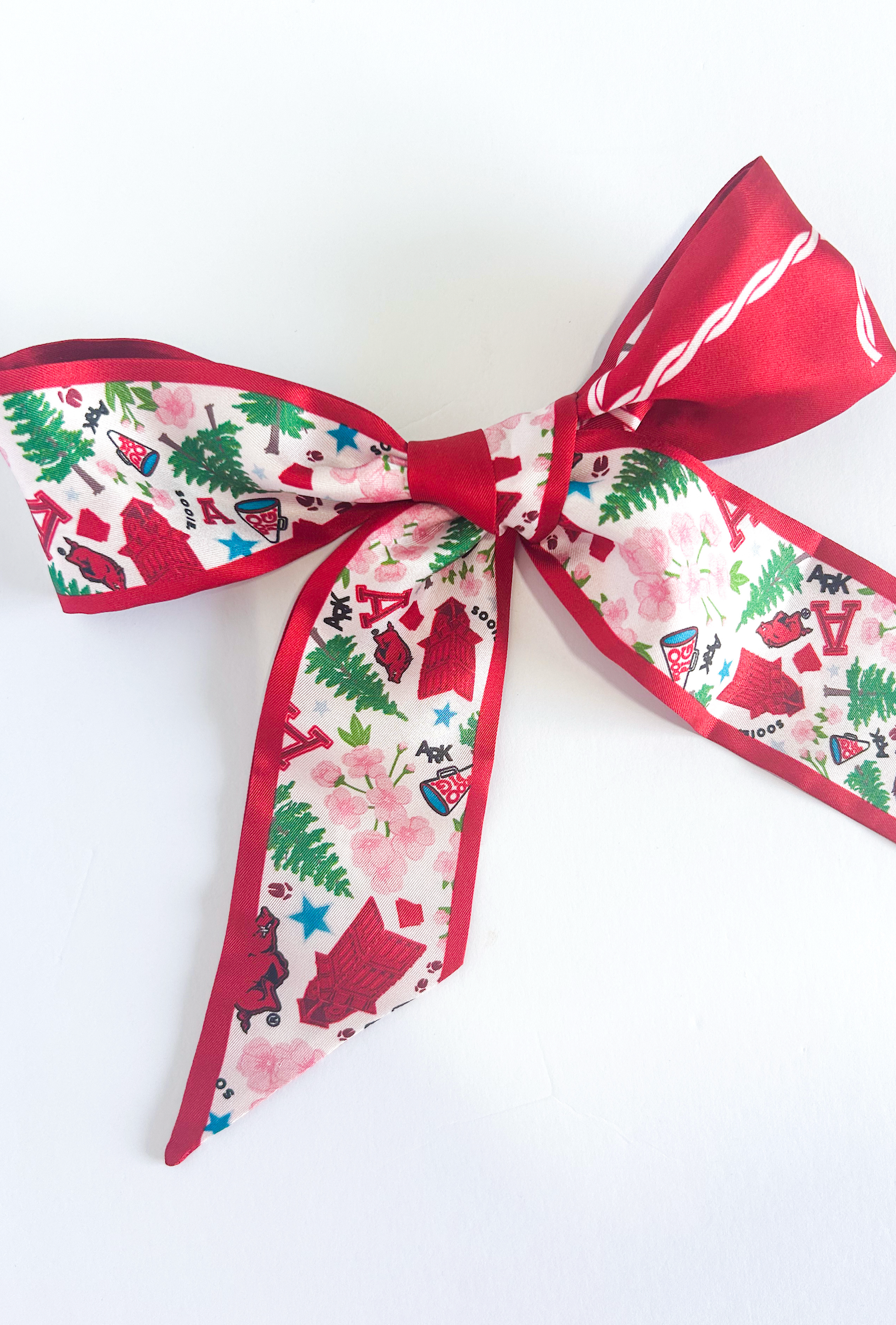 Arkansas Skinny Silk Scarf