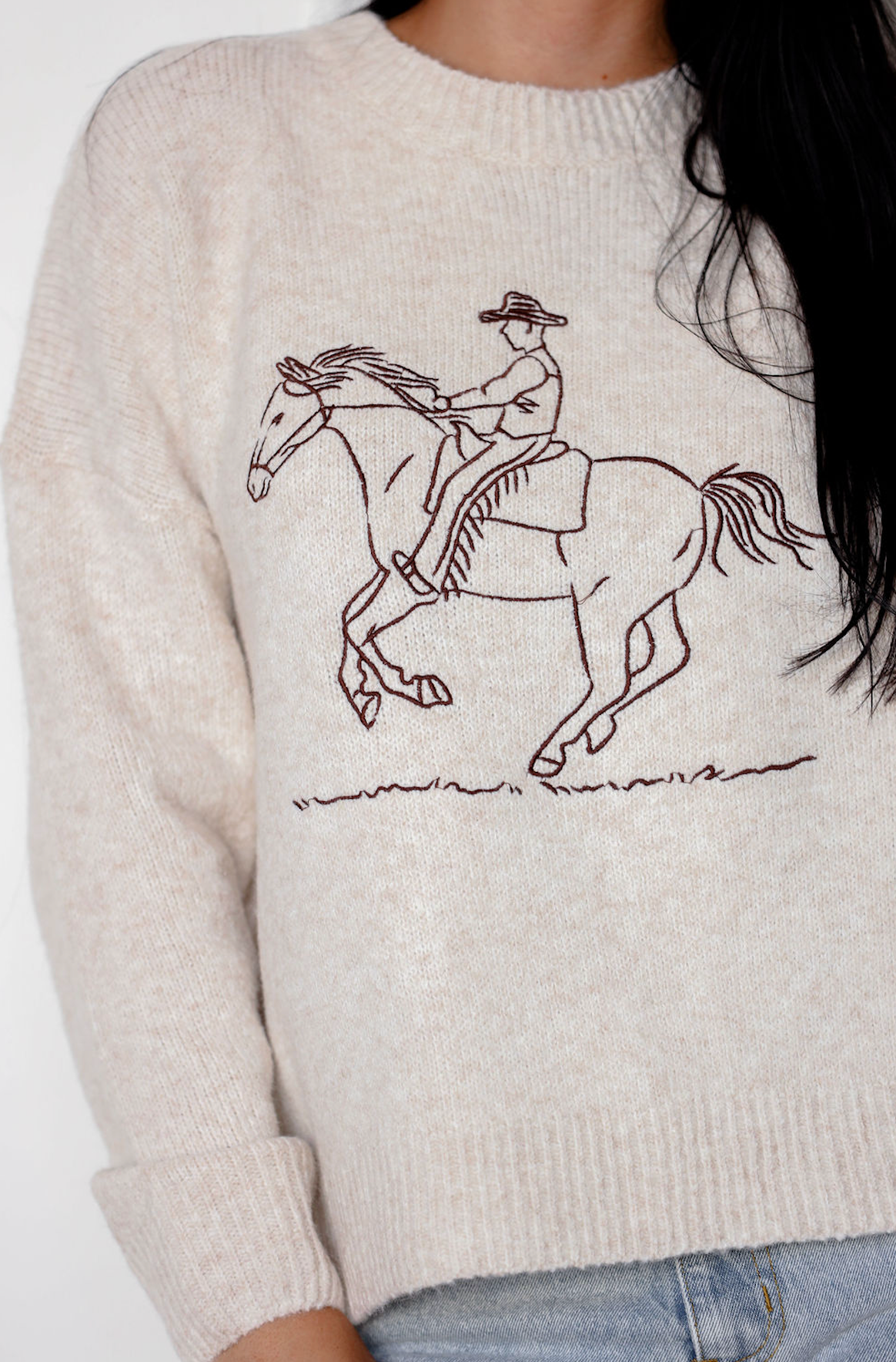 Save a Horse Sweater
