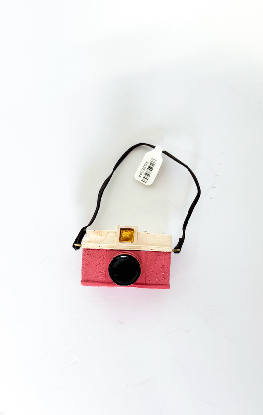 Resin Camera Ornament