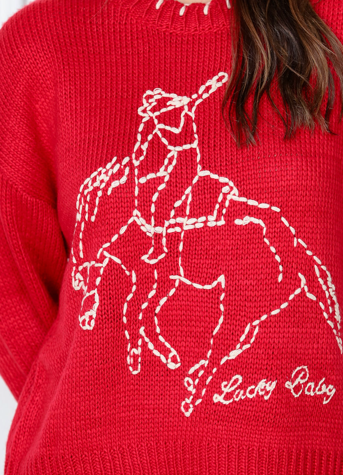 Lucky Baby Horse Sweater