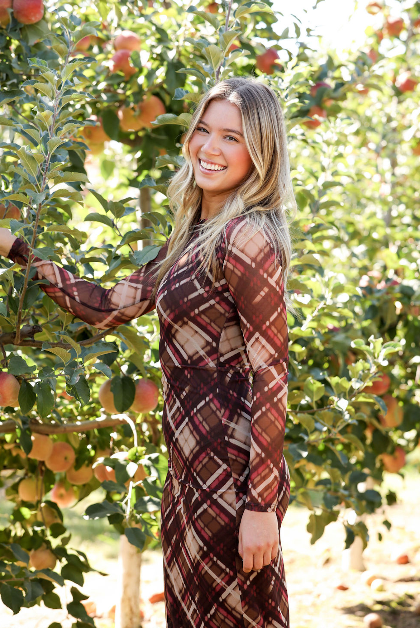 Paula Checkered Mesh Maxi Dress