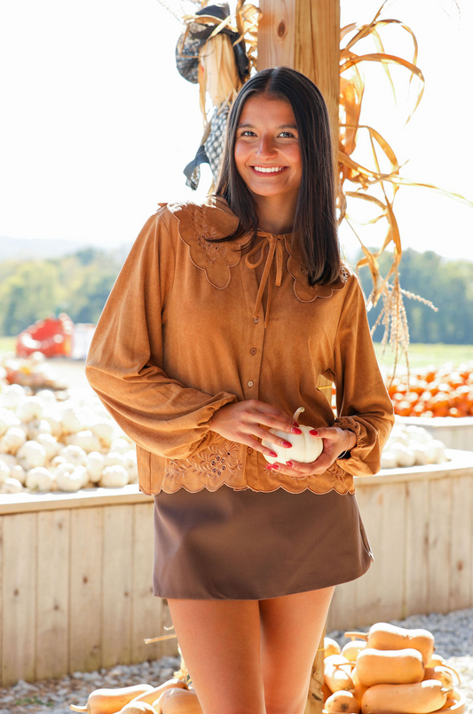 Embroidered Bib Collar Long Sleeve Blouse