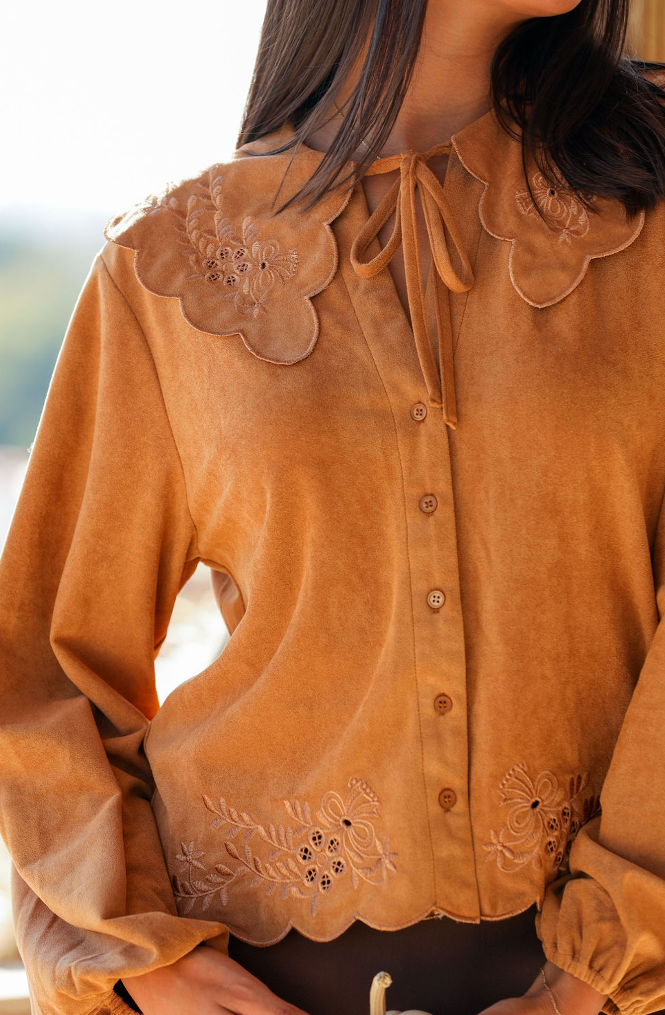 Embroidered Bib Collar Long Sleeve Blouse