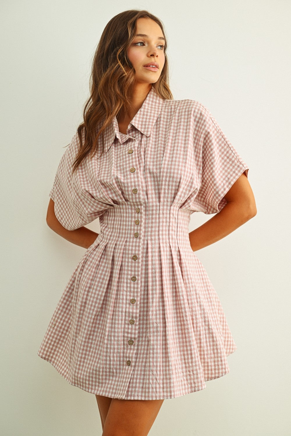 Gingham Collared Dress Strawberry