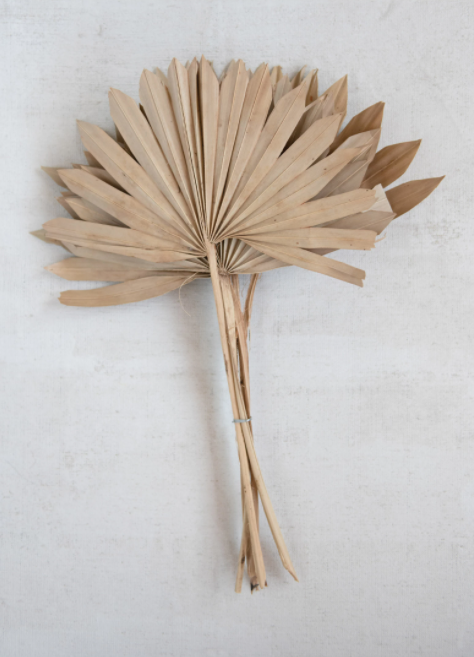 Dried Palm Bunch - Clothe Boutique