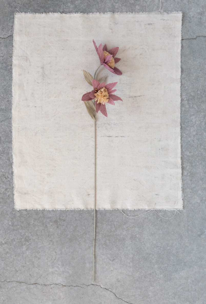 Paper Flower Stem Blush