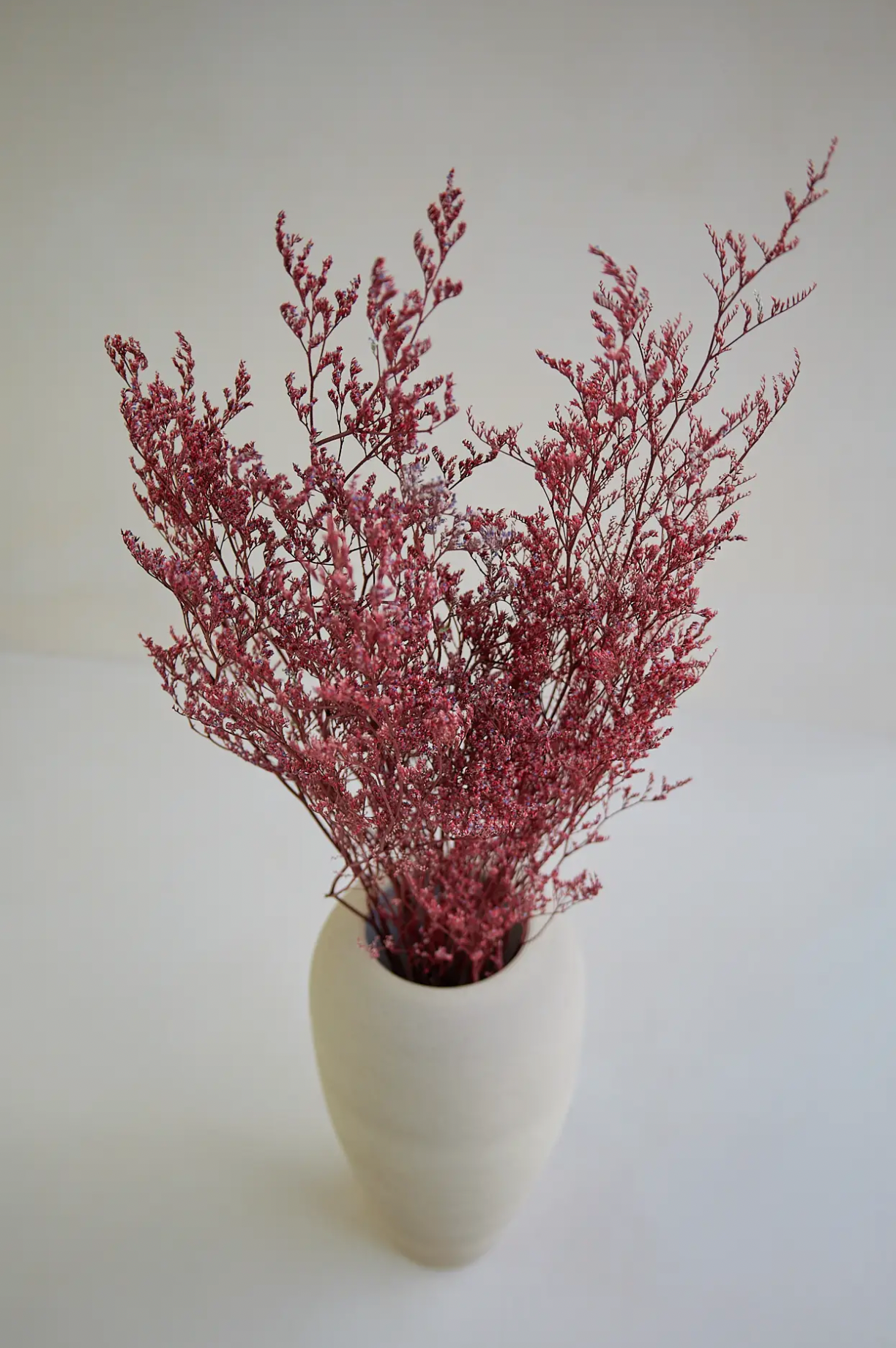 Limonium Red Branches Bunch