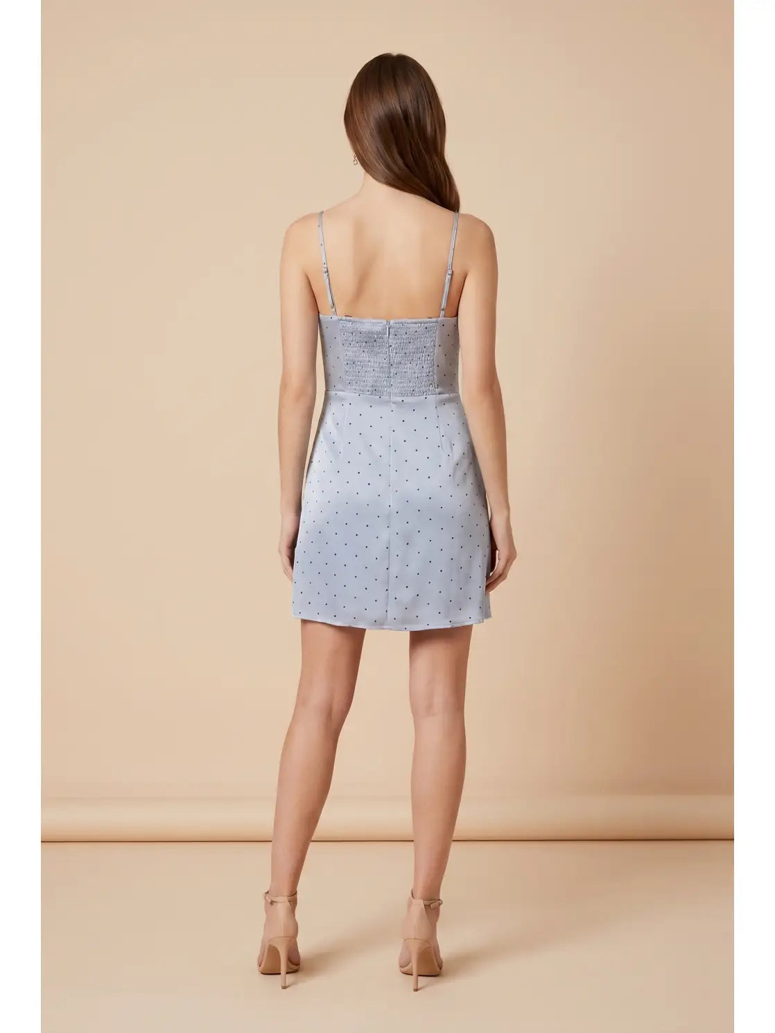 Slate Blue Dottie Dress