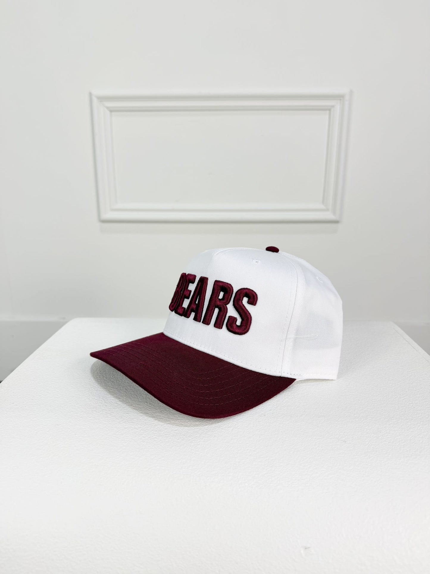 BEARS Vintage Canvas Hat