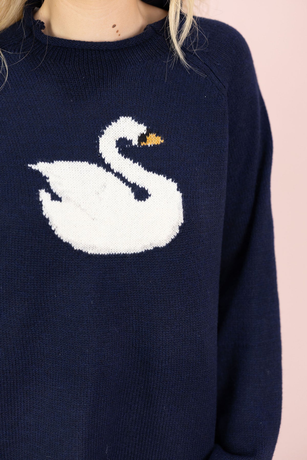 Navy Swan Sweater