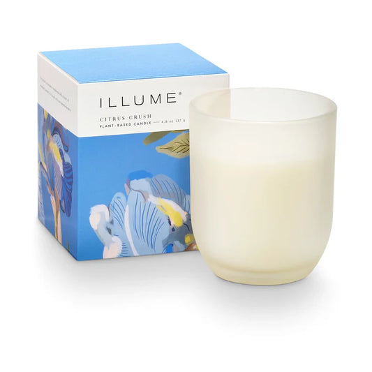 Small Glass Candle - Citrus Crush - Clothe Boutique