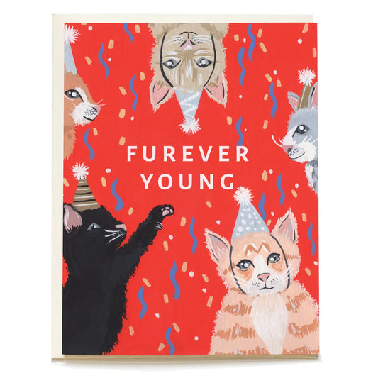 Cats in Hats Birthday Card
