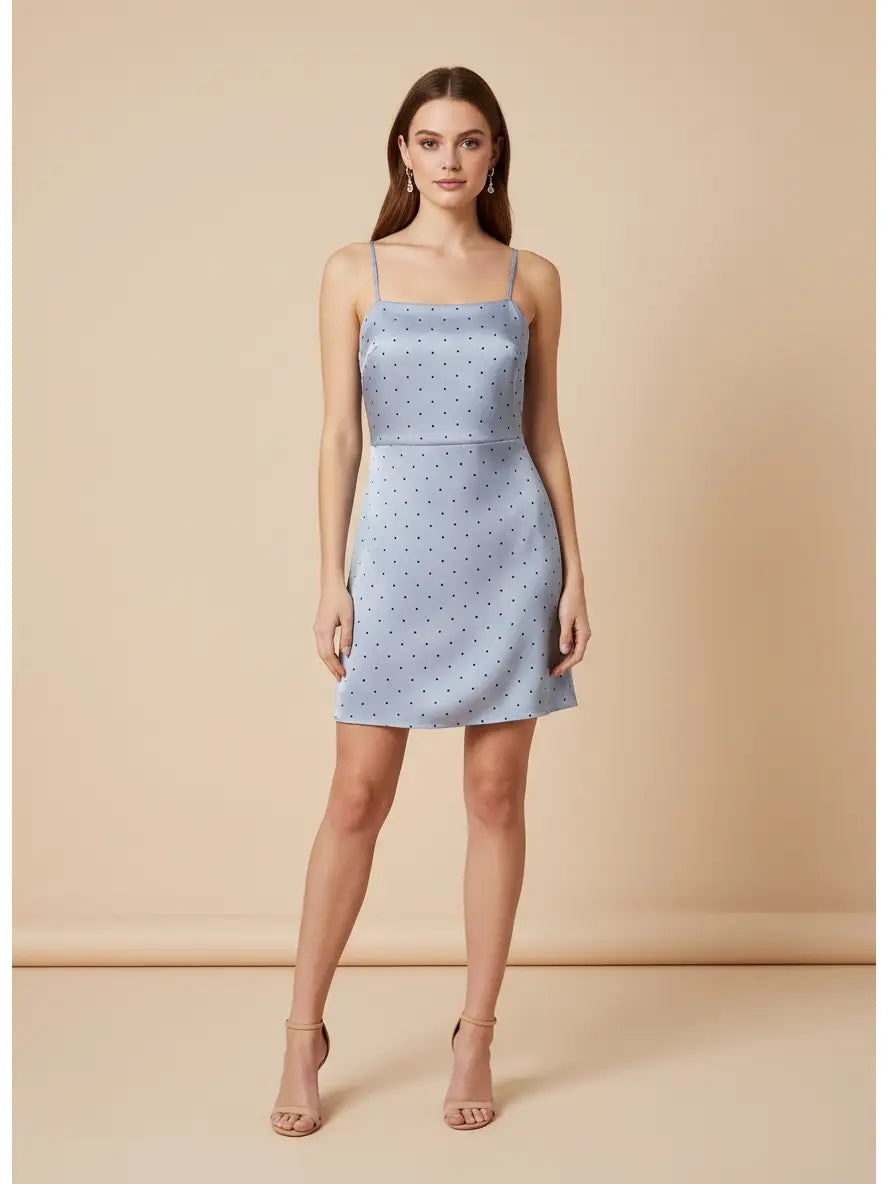 Slate Blue Dottie Dress