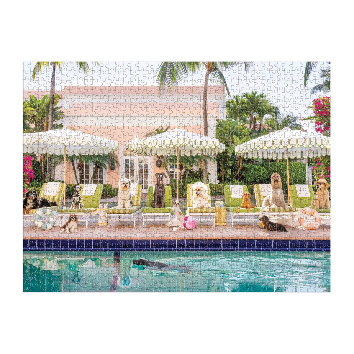 Palm Beach Box Puzzle - Clothe Boutique