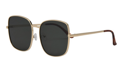 Montana iSea Sunglasses - Gold/Brown