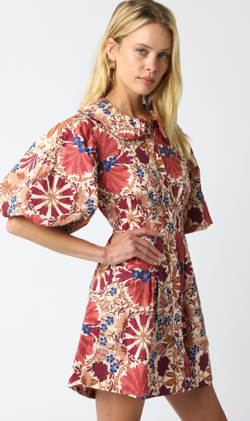 Iris Collared Poplin Dress