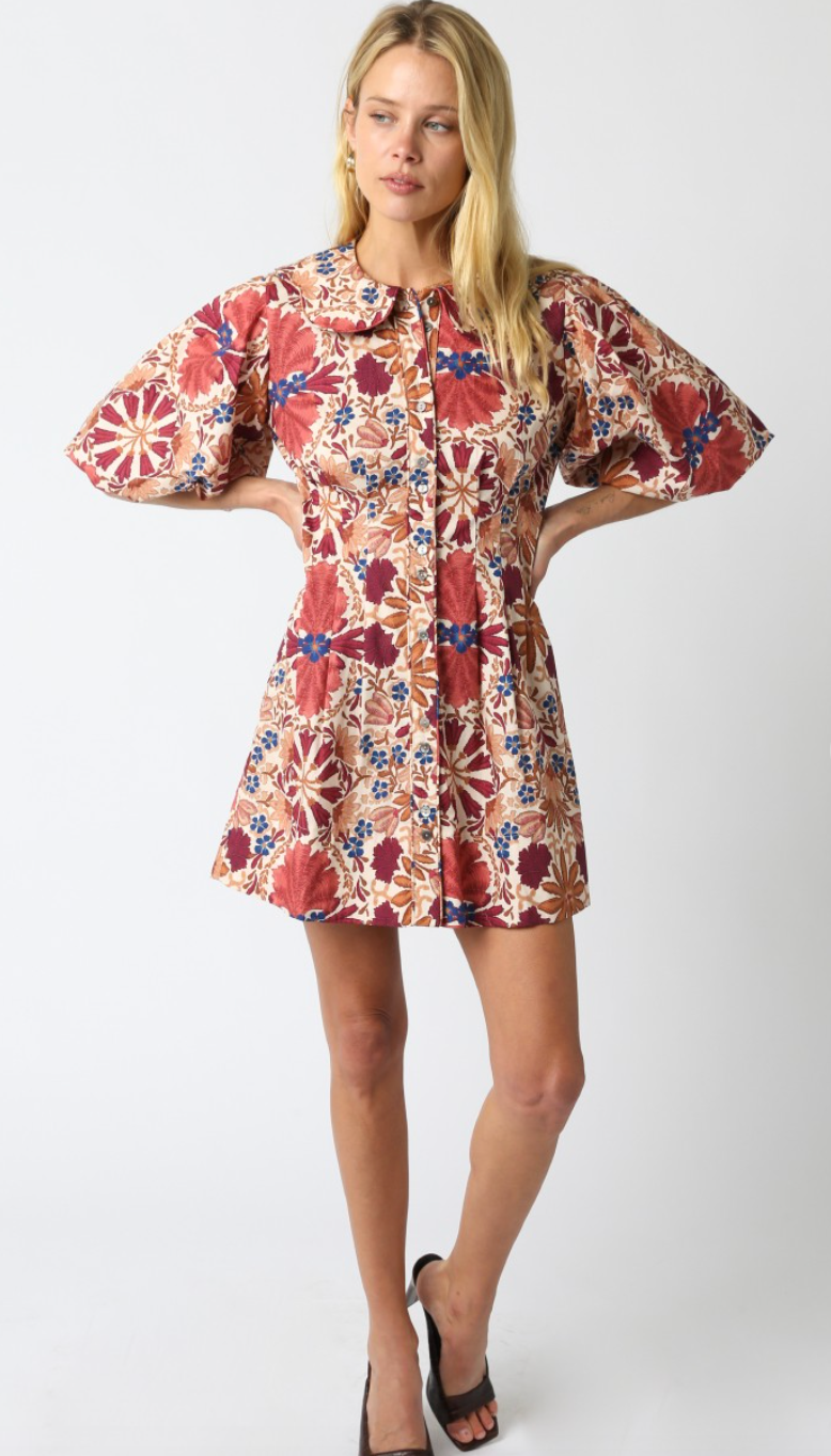 Iris Collared Poplin Dress