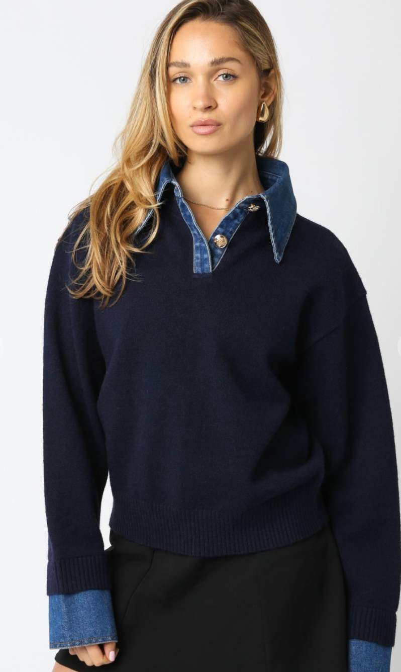 Navy Denim Collared Sweater