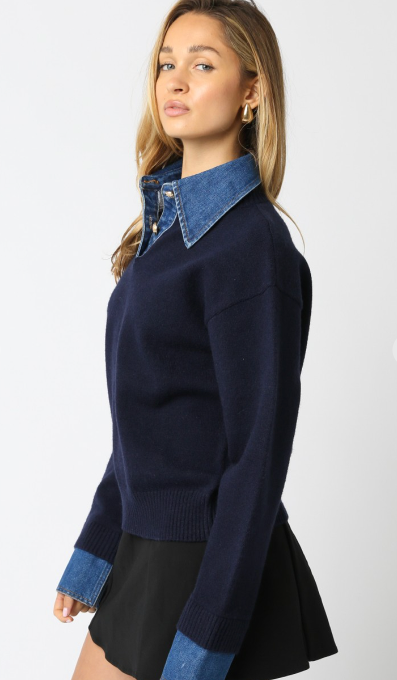 Navy Denim Collared Sweater