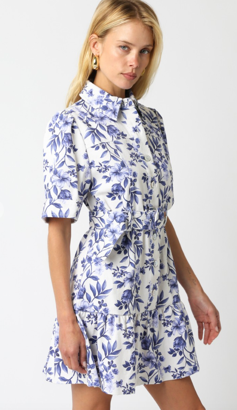 Emmie Blue Floral Collared Tie Dress